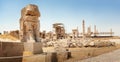 Ruins of the Hall of Hundred Columns, Persepolis Royalty Free Stock Photo